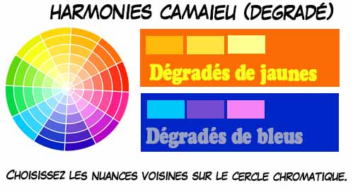 Cercle chromatique - Présentant tous les compléments et toutes les  harmonies de couleurs. Avec une introduction sur la théorie générale du  contraste, du rythme et de la mesure - 3612221723940 - Ebook